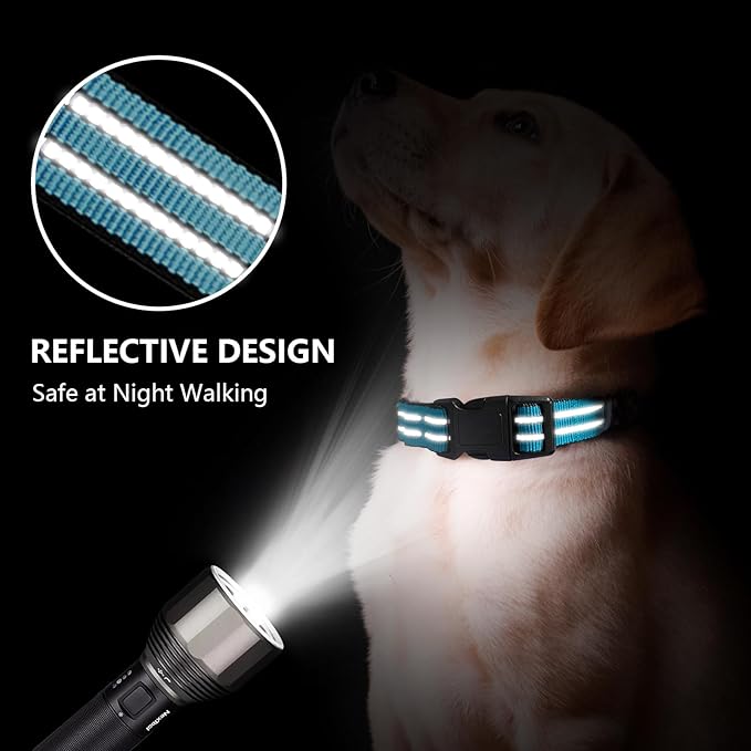 Hikiko Martingale Dog Collars Reflective Nylon Dog Collar with Quick Release Buckle Adjustable Training No Slip Dog Collar (Large, Light Blue)