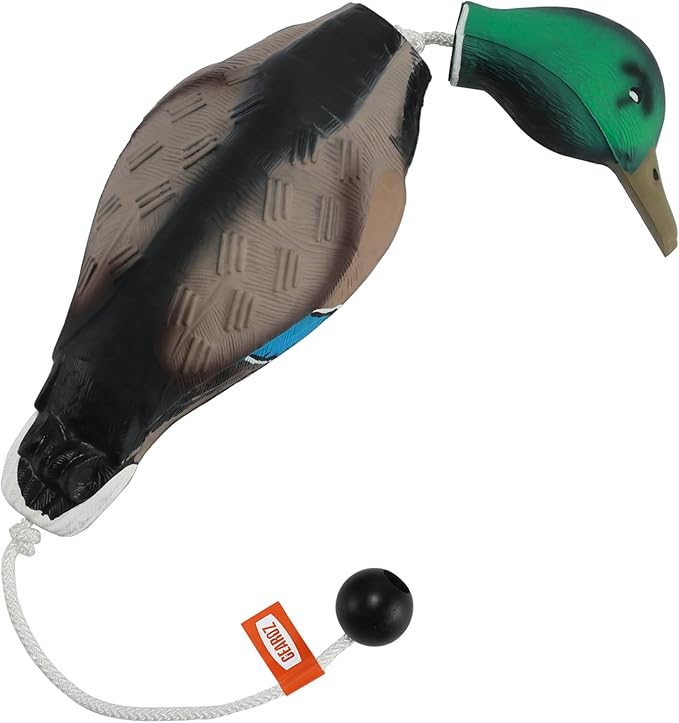 Duck/Pheasant Dummy, Mimics Dead Duck/Pheasant Bumper for Gun Dog Training Scent Waterfowl Hunting Retriever, Outdoor Mallard Retrieval Interactive Train Toys, Floating & Durable