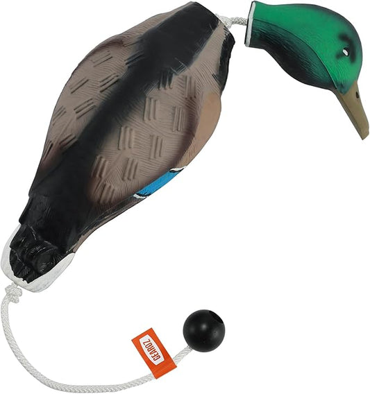 Duck/Pheasant Dummy, Mimics Dead Duck/Pheasant Bumper for Gun Dog Training Scent Waterfowl Hunting Retriever, Outdoor Mallard Retrieval Interactive Train Toys, Floating & Durable