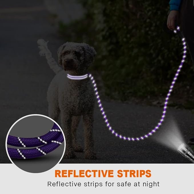 Taglory Rope Dog Leash 6 FT with Comfortable Padded Handle, Highly Reflective Threads Leash for Small Dogs, 3/8 inch, Purple