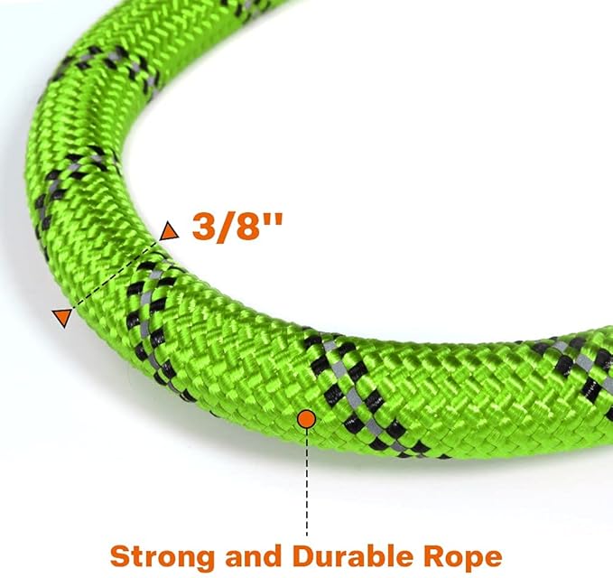 Taglory Rope Dog Leash 5 FT with Comfortable Padded Handle, Highly Reflective Threads Leash for Small Dogs, 3/8 inch, Green