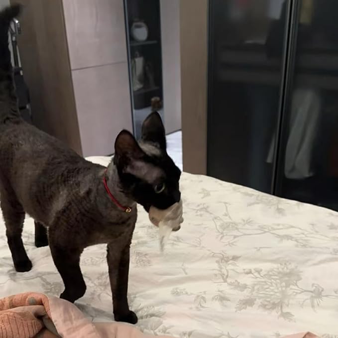 Plush Catnip Mice Toys with Rattle Sound - 2 Pcs Interactive Cat Toys for Indoor Cats, Durable Stress Relief Eco-Friendly Small Mouse Chew Playthings（with Catnip Bag）