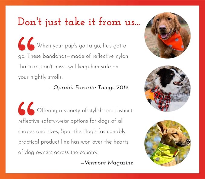 SPOT THE DOG! Reflective Dog Collar - Adjustable Pet Collars, Safe, Durable, Comfortable Dog Walking Accessories for Small Dog, Hunting Dog, Puppy, Lightweight Boy, Girl Dog Collars (Blaze Orange, S)
