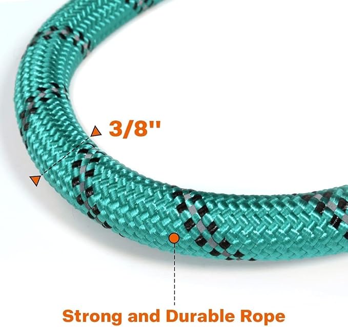 Taglory Rope Dog Leash 5 FT with Comfortable Padded Handle, Highly Reflective Threads Leash for Small Dogs, 3/8 inch, Turquoise