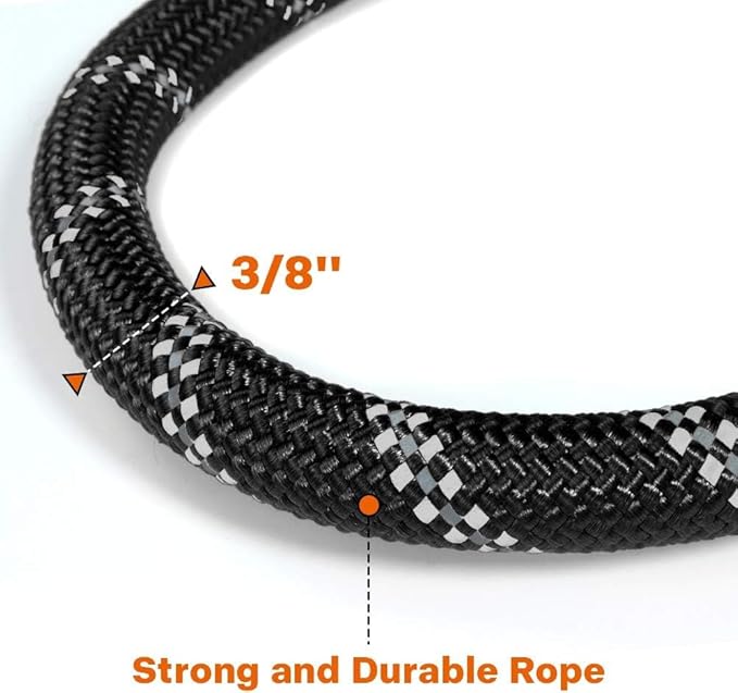 Taglory Rope Dog Leash 4 FT with Comfortable Padded Handle, Highly Reflective Threads Leash for Small Dogs, 3/8 inch, Black