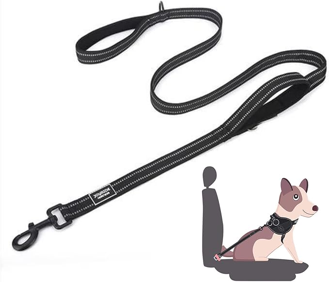 Joyride Harness 2-in-1 Leash with Seat Belt Combo, 43” Dual Use Pet Safety Seatbelt, Dual Handle and Car Safety Buckle, Thick Heavy Duty Nylon & Retractable Harness Clasp - Reflective Safety Stitching