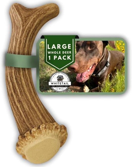 WhiteTail Naturals - Deer Antlers for Large Dogs - Long Lasting Antler Dog Chews - Crafted in USA, Naturally Shed Antler Dog Bones for Aggressive Chewers (Large (Pack of 1))