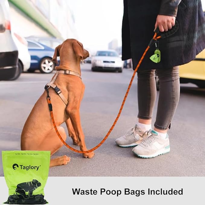 Taglory Rope Dog Leash 4 FT with Comfortable Padded Handle, Highly Reflective Threads Leash for Small Dogs, 3/8 inch, Orange