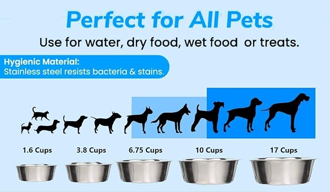 Greendale - 2 Pack - 10 Cup Capacity - Stainless Steel Metal Dog Bowls - Perfect for Dog Food and Water. Wrong Size? Click to Look at Our Size Options.
