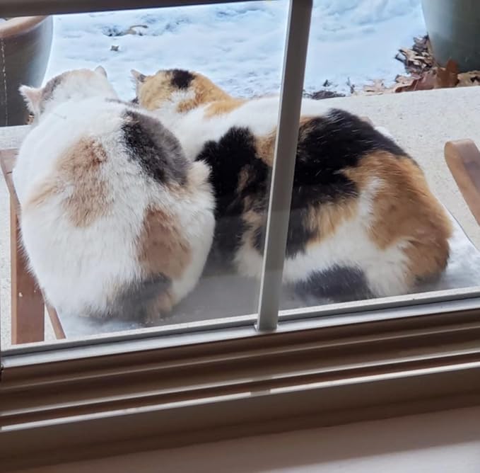 NAMSAN Indoor Outdoor Cat Heating Pad, 11.42 x 15.75 Inches, Pet Heating Mat for Small Dogs Cats Rabbits Chickens, Small Animals Heater, Kennel Warming Sheeting, Timeable, Temperature Adjustable