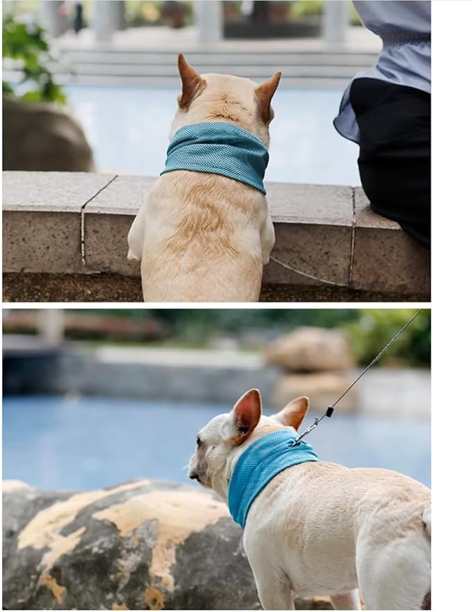 Instant Cooling Dog Bandana for Pet Scarf Soft Cool Mat Pet Collar – Eco-Friendly Breathable Polyester Dog Cooling Bandana for Dogs Puppy Bandana with Leash Hole (Blue, Medium)