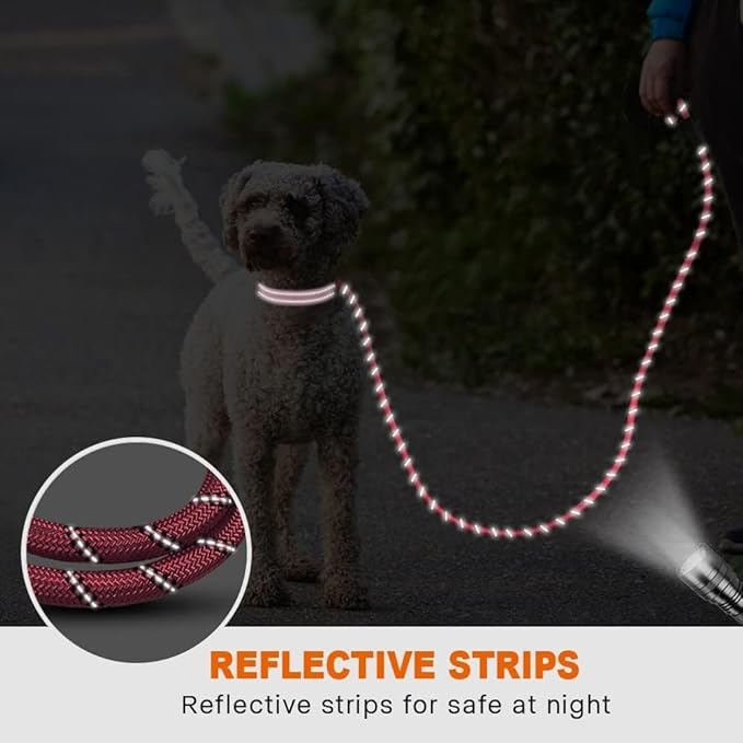 Taglory Rope Dog Leash 5 FT with Comfortable Padded Handle, Highly Reflective Threads Leash for Small Dogs, 3/8 inch, Pink
