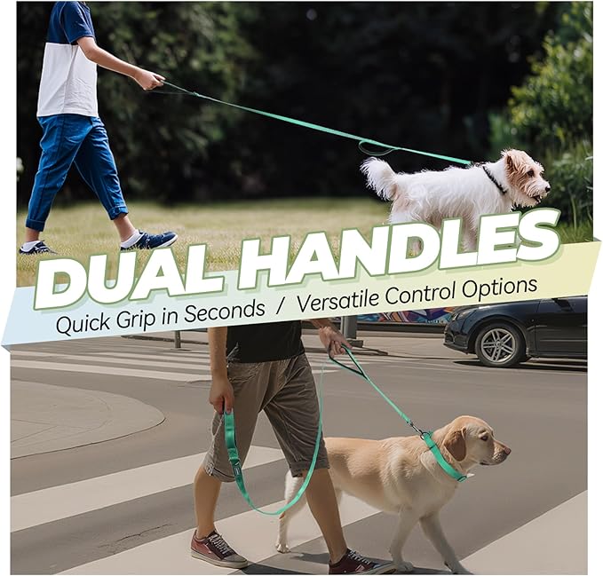 VIVAGLORY Twingrip Dog Leash, Double Handle Dog Leash for Training & Walking with Traffic Handle & 2 Loop, Traffic Control Reflective Heavy Duty for Puppy Pet, 6ft x 1in, Turquoise