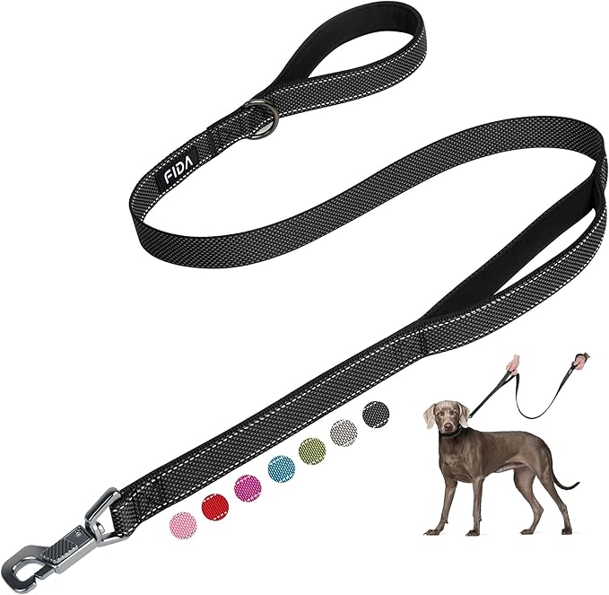 Fida 5 FT Heavy Duty Dog Leash with 2 Comfortable Padded Handles, Traffic Handle & Advanced Easy Snap Hook, Reflective Walking Lead for Large, Medium & Small Breed Dogs, Black