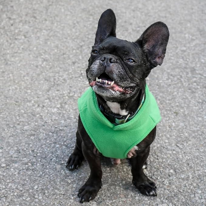 JACKO & CO - Fleece Vest Dog Sweater with Leash Ring - Soft, Warm & Lightweight Pullover Coat for Small & Medium Dogs, Puppies & Cats - Cozy Fall/Winter/Spring Pet Jacket (Green, X-Small 2-4lbs)