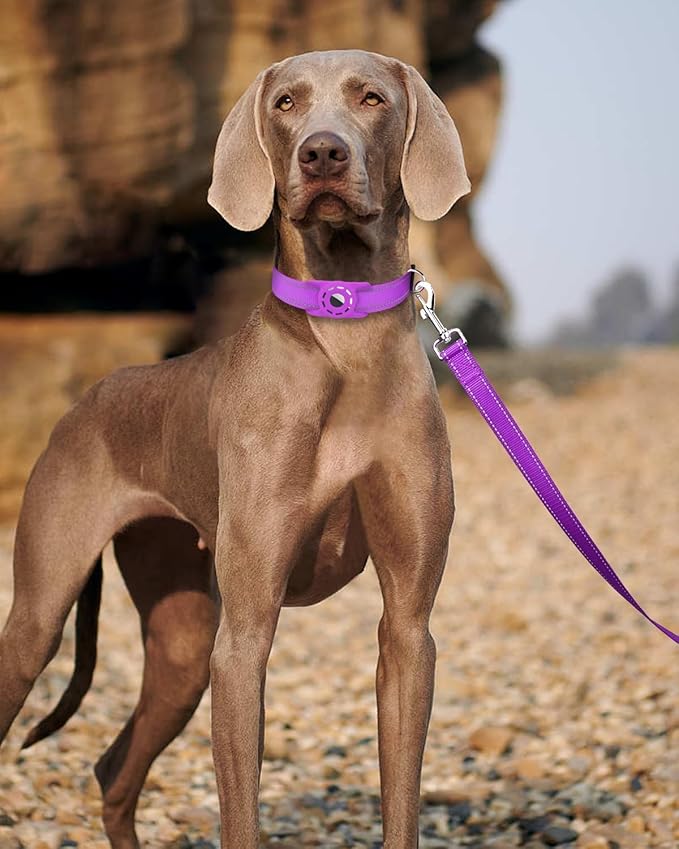 6FT Reflective Nylon Dog Leash with Soft Padded Handle for Walking, Running and Training, Supports Small Medium and Large Dogs (Purple, 3/4Inch Wide)