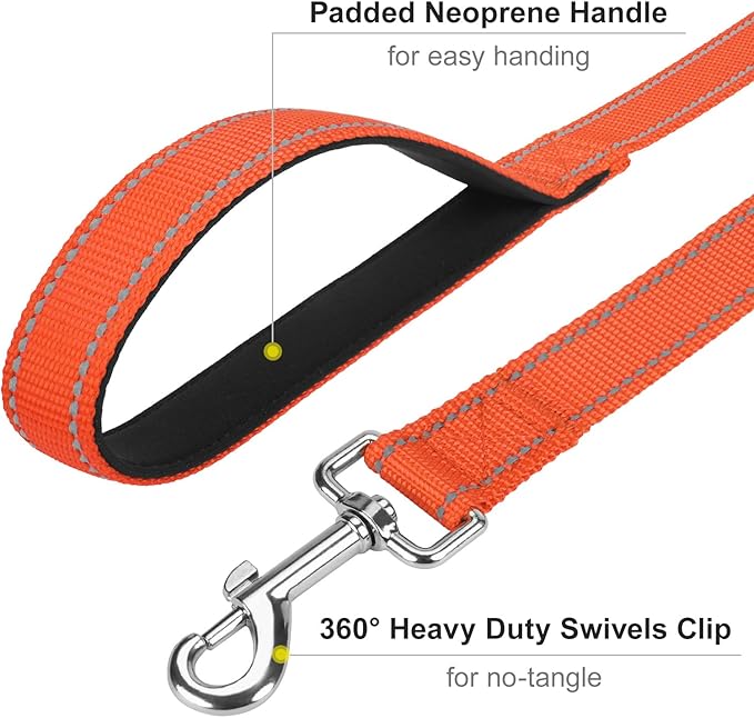 6FT Reflective Nylon Dog Leash with Soft Padded Handle for Walking, Running and Training, Supports Small Medium and Large Dogs (Orange, 3/4Inch Wide)
