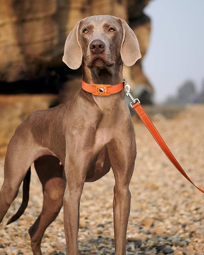 6FT Reflective Nylon Dog Leash with Soft Padded Handle for Walking, Running and Training, Supports Small Medium and Large Dogs (Orange, 3/4Inch Wide)