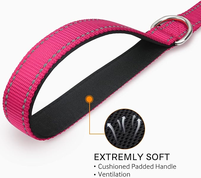 Joytale Double-Sided Reflective Dog Leash, 6 FT/5 FT/4 FT, Padded Handle Nylon Heavy Duty Leashes for Small & Medium Dogs Walking, Hotpink, 5FT
