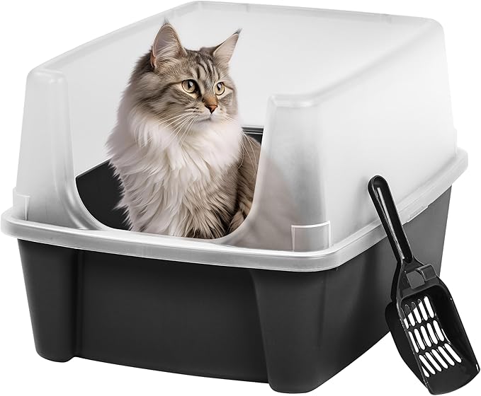 IRIS USA 2 Pack Large Open Top Cat Litter Box with High Sides, Scatter Shield & Scoop, Black, for Indoor Cats, Kittens or Multicat Homes