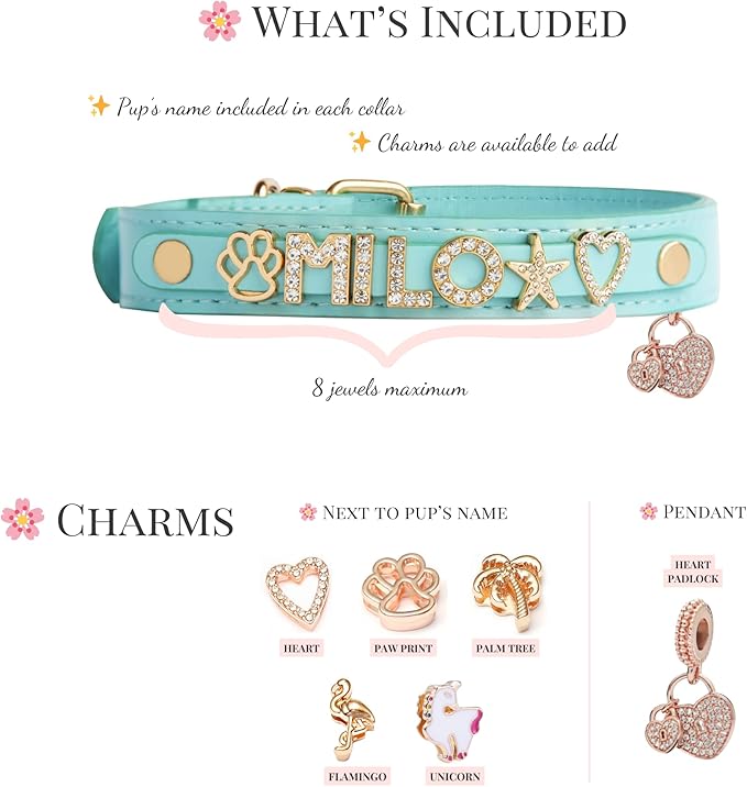 Paws Paws Miami Custom Dog Collar for Small Dogs, Personalized with Name in Gold-Plated Cubic Zirconia Initials and Charm Jewels Leather Collars, Turquoise