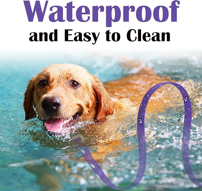 Waterproof Long Dog Training Leash 6ft Outdoor PVC Dog Leashes Great for Large Medium Small Dog Training Lead,Beach,Yard,Play,Camping(Purple