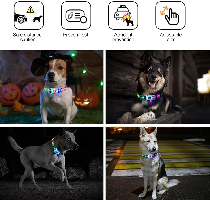 Light Up Dog Collars,LED Dog Collar Rechargeable Waterproof,2-in-1 Buckle Type Glow Collar for Medium Large Dogs- M(10-17 * 0.98 inch can be Crop)