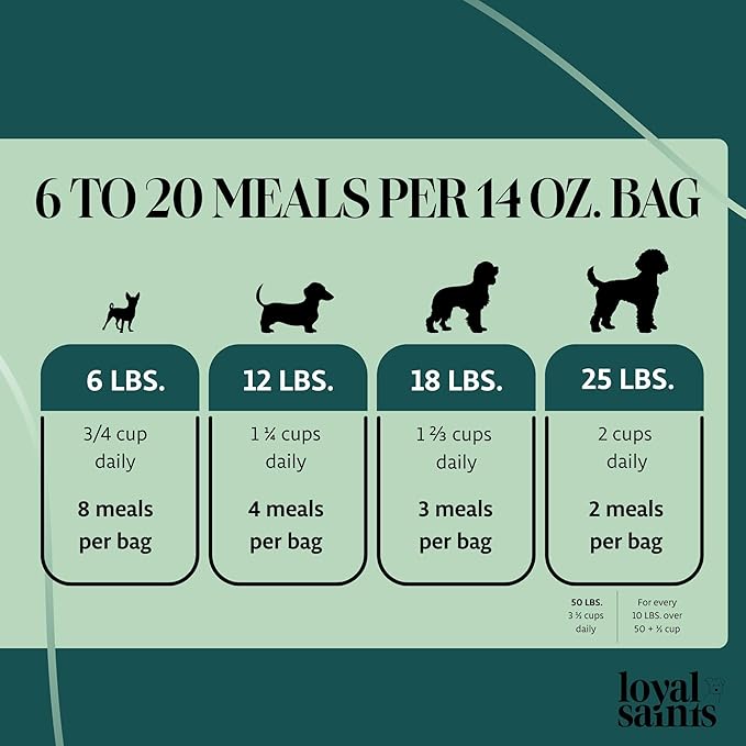 Freeze Dried Raw Dog Food - Premium Beef Flavor with High Protein and Grain Free Dog Food for Small or Large Breeds and Picky Eaters - Versatile as Meal Topper, Snack, and Treats, 14 Oz