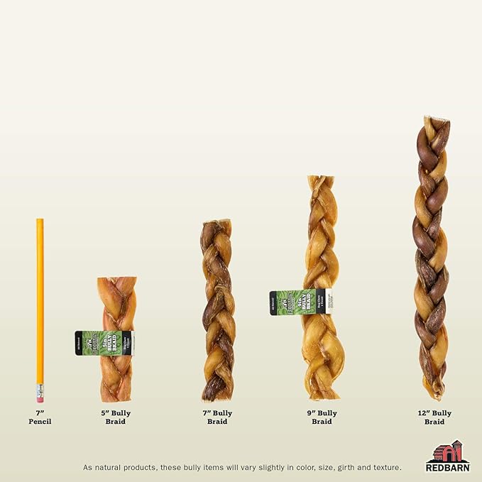 Redbarn Pet Products All-Natural 12" Braided Bully Sticks for Dogs - Premium Slow Roasted Long Lasting Chew Treats Made with 100% Beef - Single Ingredient Low Odor - 5 Count - Packaging May Vary
