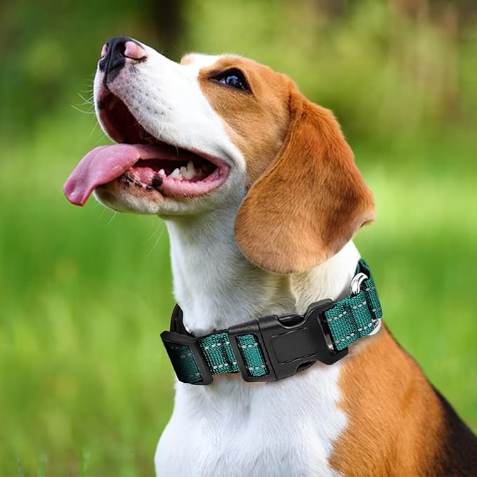 Reflective Martingale Dog Collars. Dog Collar with Quick Release Buckle. Adjustable Soft Padded Breathable Nylon Pet Collar Suitable for Puppies for Small Medium Large Dogs.