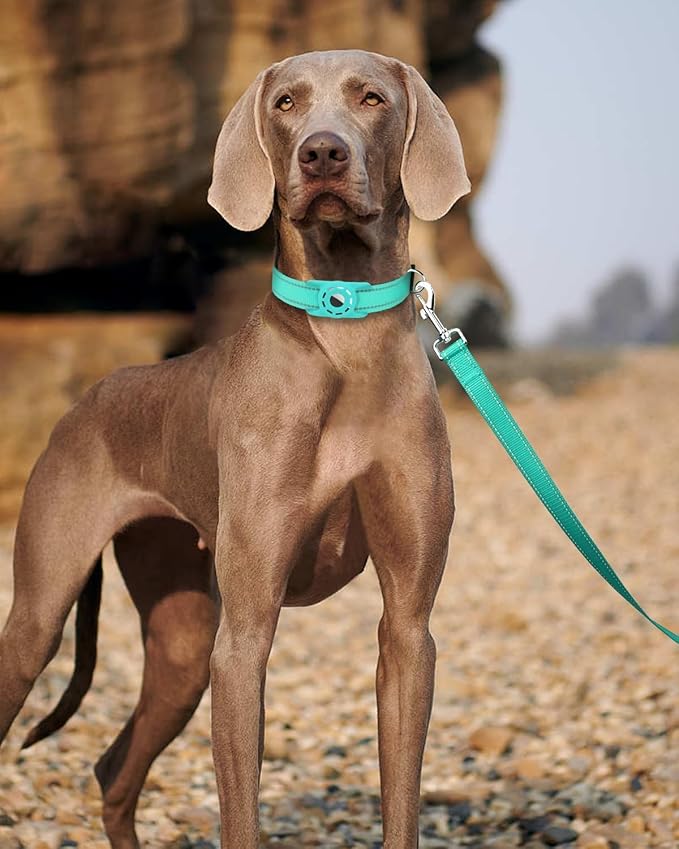 4FT Reflective Nylon Dog Leash with Soft Padded Handle for Walking, Running and Training, Supports Small Medium and Large Dogs (Turquoise, 1 Inch Wide)