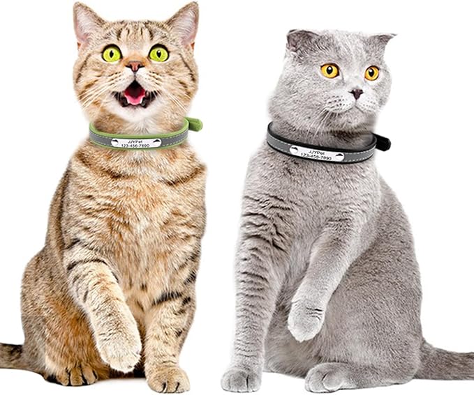 Personalized Reflective Cat Collars with Name Tag and Plated,Engraved Custom Cat Collar with Name and Phone,Kitten Collar with Safety Buckle Adjustable for Cats and Kitten(Blue)