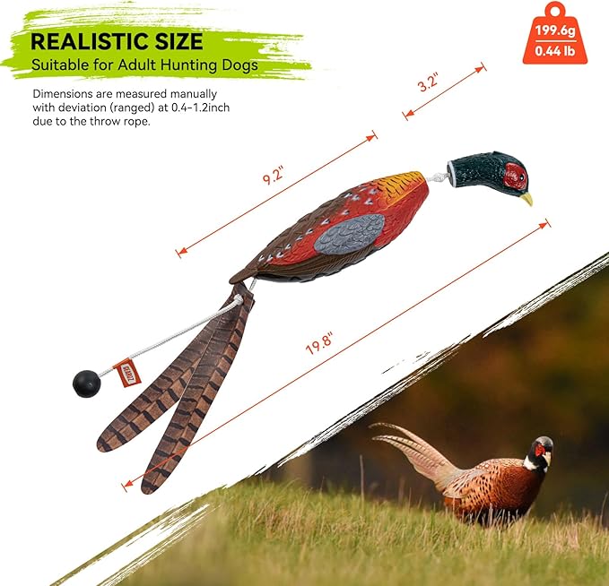 Duck/Pheasant Dummy, Mimics Dead Duck/Pheasant Bumper for Gun Dog Training Scent Waterfowl Hunting Retriever, Outdoor Mallard Retrieval Interactive Train Toys, Floating & Durable
