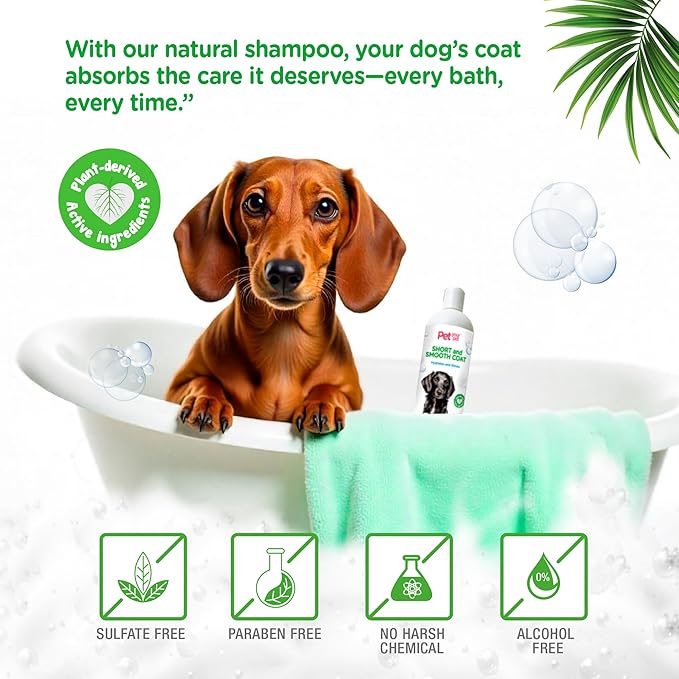 Natural Dog Shampoo for Short Coats – Hydrating Wash with Aloe, Argan & Coconut Oil – Deodorizing for Dachshunds, French Bulldogs & Boxers, Labrador Retriever – 16 oz