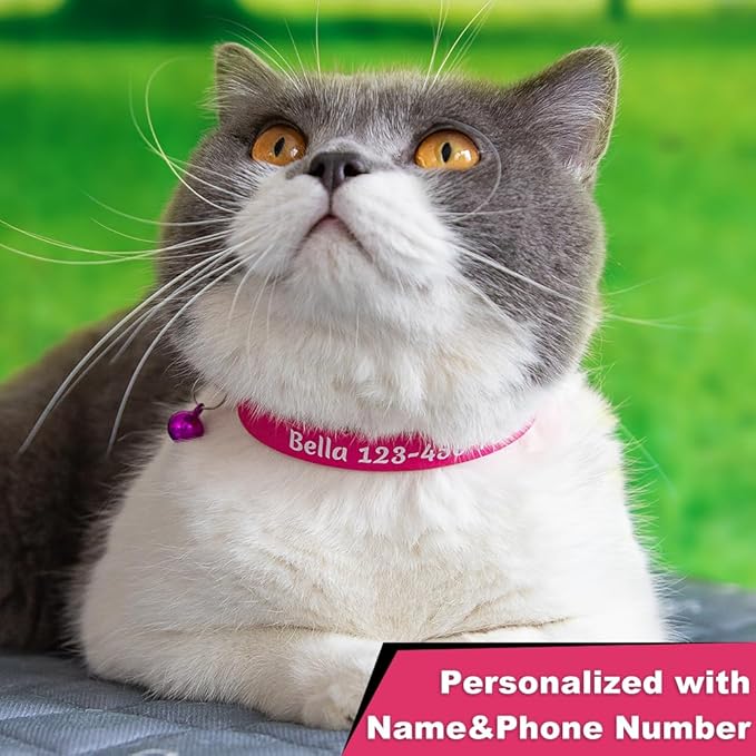 Personalized Cat Collars with Name and Phone Number |Custom Cat Collar with Breakaway Safety Release Buckle and Bells | Cute Waterproof PVC ID Collar for Boy and Girl Kitten Cat