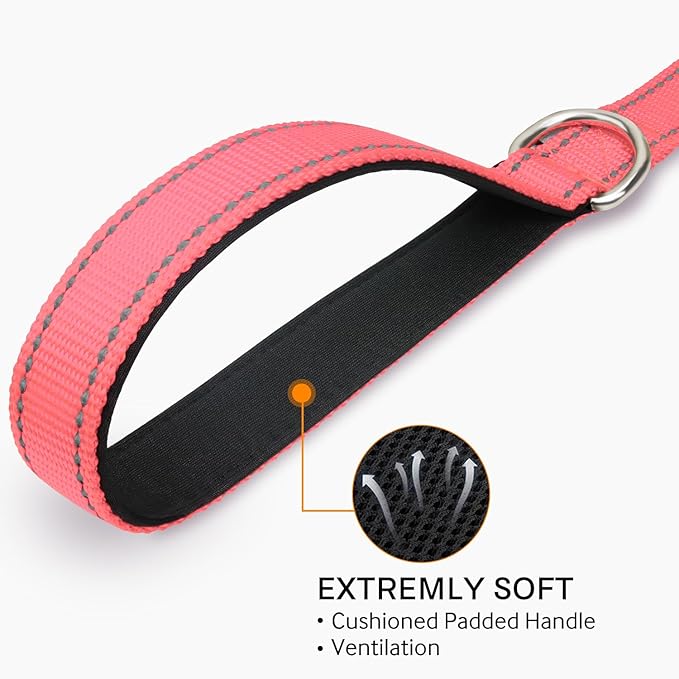 Joytale Double-Sided Reflective Dog Leash, 4 FT, Padded Handle Nylon Heavy Duty Leashes for Medium & Large Dogs Walking, Neon Pink