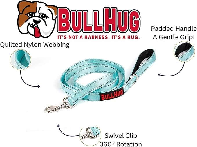 BULLHUG 6 FT Bulldog Leash with Padded Handle. Perfect for Bulldogs, French Bulldogs, Pugs & All Breeds. Leashes for Walking, Training Lead for Bulldogs (Reflective Stitching, Tiffany)