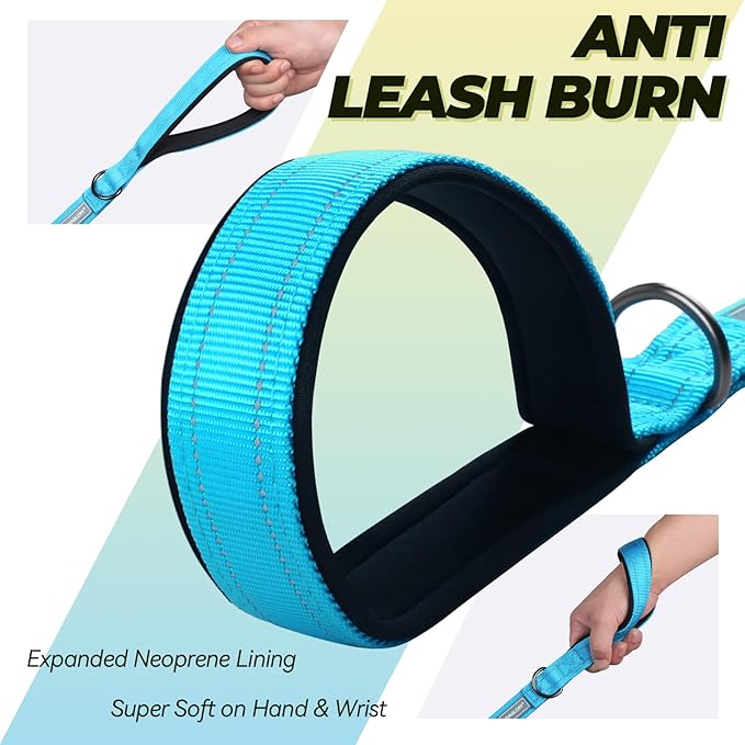 VIVAGLORY Twingrip Dog Leash, Double Handle Dog Leash for Training & Walking with Traffic Handle & 2 Loop, Traffic Control Reflective Heavy Duty for Puppy Pet, 4ft x 1in, Lake Blue