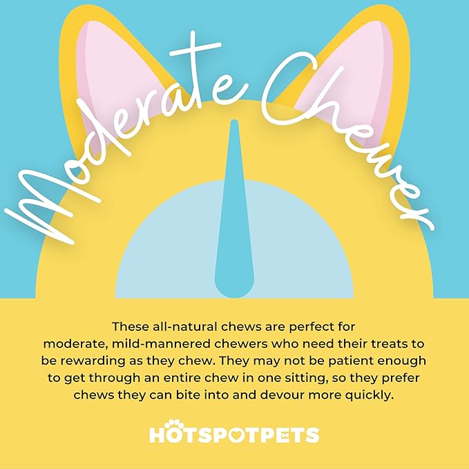 hotspot pets Beef Tendon Chews for Dogs (10 Pack) - Made in USA - 8 Inch All Natural, Free-Range, Grass-Fed Premium USDA Gambrol Beef Tendon Stick Treats, Great for Joint Health