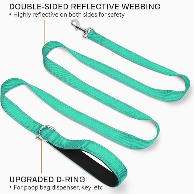 Joytale Double-Sided Reflective Dog Leash, 6 FT/5 FT/4 FT, Padded Handle Nylon Heavy Duty Leashes for Small & Medium Dogs Walking, Teal, 6FT