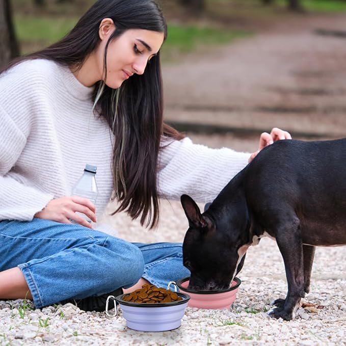 Kytely Collapsible Dog Bowls (1000ml), 2Pack Foldable Travel Bowls, Portable Dog Water Food Bowl with Clasp (Lavender+Pink)