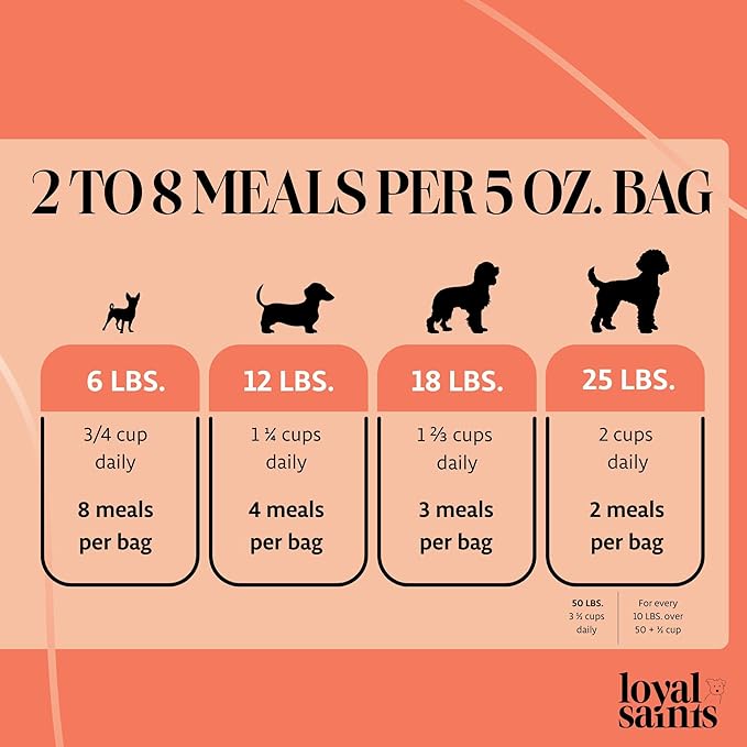 Freeze Dried Raw Dog Food - Premium Turkey and Salmon Flavor with High Protein and Grain Free Dog Food for All Breeds and Picky Eaters - Versatile as Meal Topper, Snack, and Treats, 14 Oz