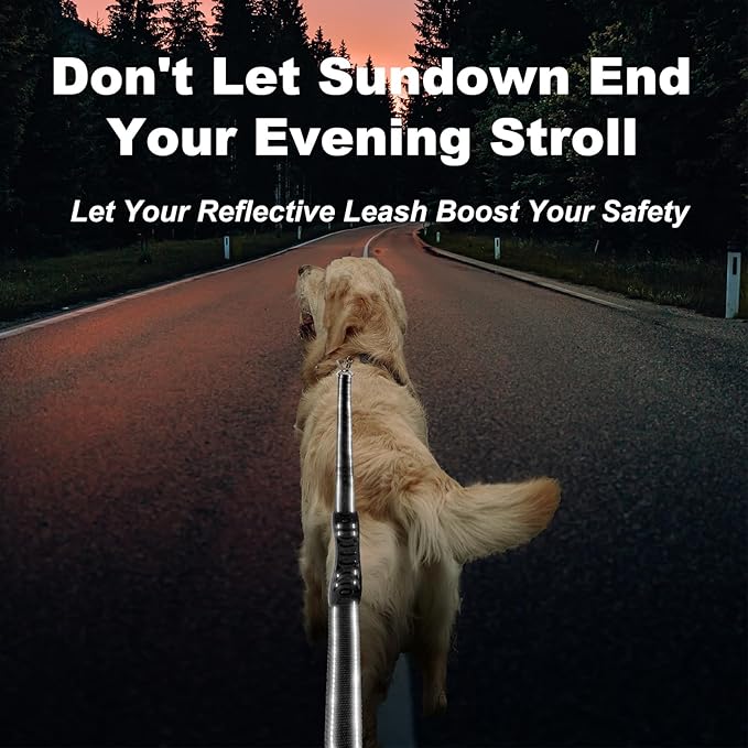 Heavy Duty Dog Leash, Laqibak Double-Sided Reflective Double Handle Dog Leash - Double-Layer Thickening, Lockable Safety Carabiner Design, 6 FT Perfect for Medium & Large Dogs Joyful Strolls, Black