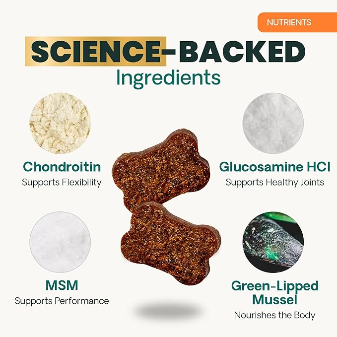 VetriScience Extra Strength Hip & Joint Supplement for Dogs, GlycoFlex 3 –Vet Formulated Glucosamine, MSM & Green-Lipped Mussel Chews for Mobility, Flexibility & Joint Support, Chicken Flavor, 60ct