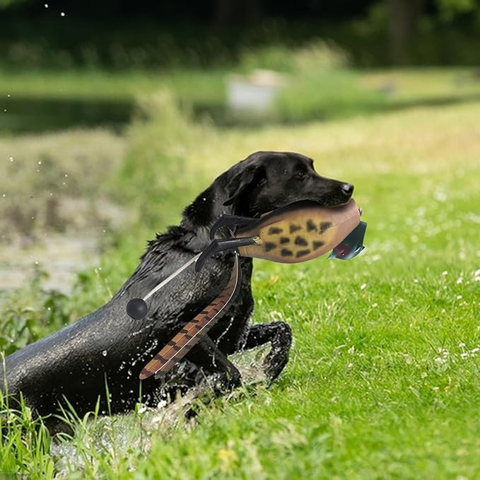 Duck Dog Training, Pheasant Dog Training Dummies for Dog Training Hunting Dog Accessories Dogs Training Dummy Bumper Retriever Floating De-ad Bird Fowl Trainer Hunting Retriever (Pheasant)