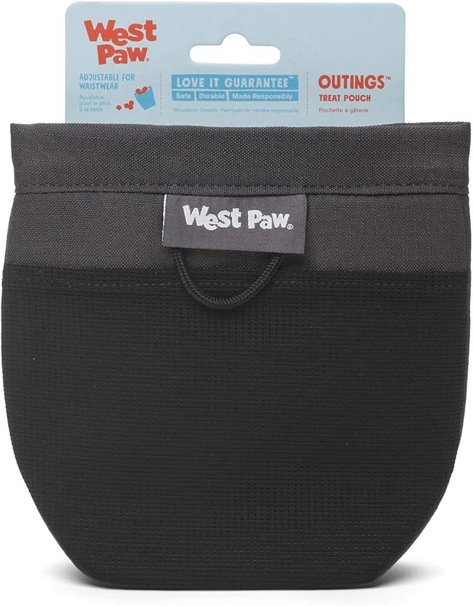West Paw Design Outings Dog Treat Pouch – Pet Pouches for Walking, Dog Training – Accessories for Pets – Includes Hinge Snaps, Water-Resistant Liner, Belt Clip – Eco-Friendly Dog Pouches (Grey)
