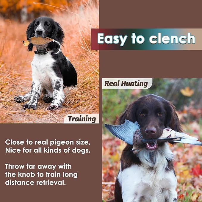 2 Pcs Dove Dummy Bumper Toys for Retriever Dog Training, Hunting Dove Recognition Trainers, Foam Interactive Outdoor Toys