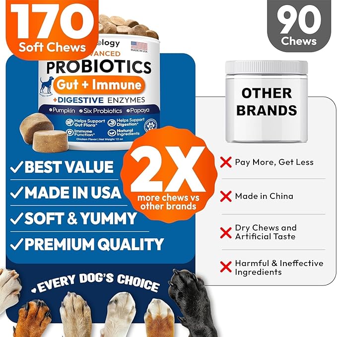 (2 Pack) Probiotics for Dogs - 340 Dog Probiotics Chews - Digestive Enzymes & Prebiotics - Support Gut Health, Diarrhea, Gas & Constipation Relief - Itchy Skin, Allergies - Advanced Supplement