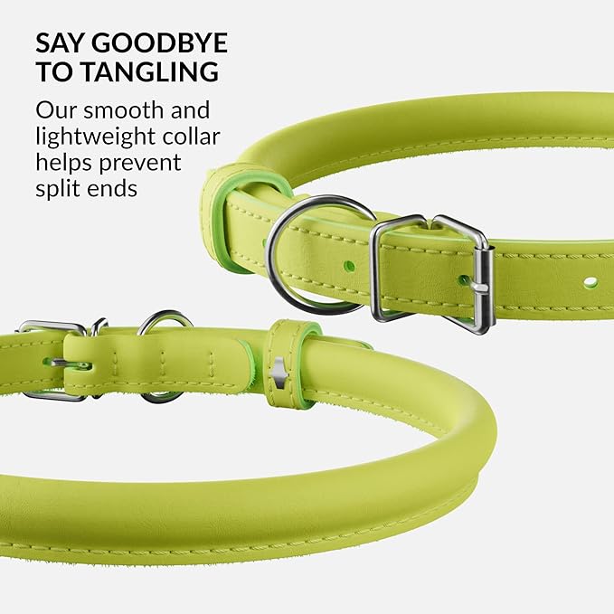 CollarDirect Rolled Leather Dog Collar, Soft Padded Round Puppy Collar, Handmade Genuine Leather Collar Dog Small Large Cat Collars 13 Colors (11-14 Inch, Lime Green Smooth)