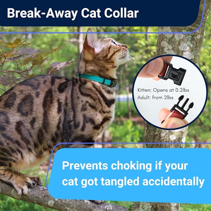 OutdoorBengal Durable Cat Collar Breakaway with Soft Padding for medium to large cats - Thin Heavy Duty Tactical Fabric, Comfortable, Quick Release Breakaway Cat Collars, No Bell Collar (Green, Adult)